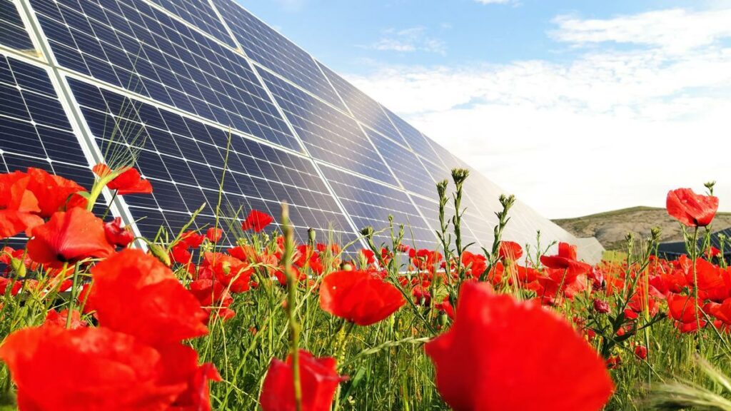 la energía solar ayuda a crear un medio ambiente más sano